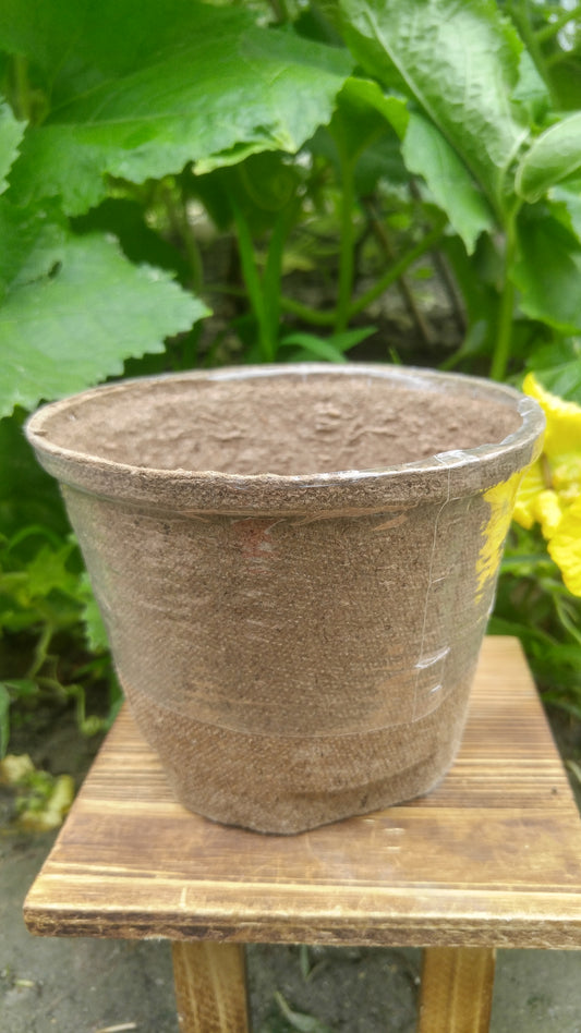 Jiffy Speedy Pot (10*12 cm) (10 Pcs)